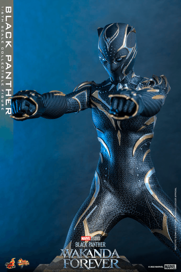 Black Panther -44689760-86da-4034-9b99-43436683472b 13