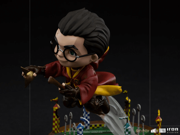 Harry Potter en el partido de Quidditch MiniCo 2