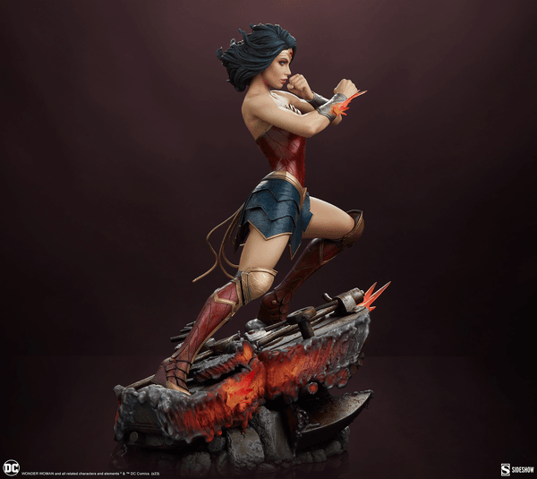 Wonder Woman Saving the Day 9