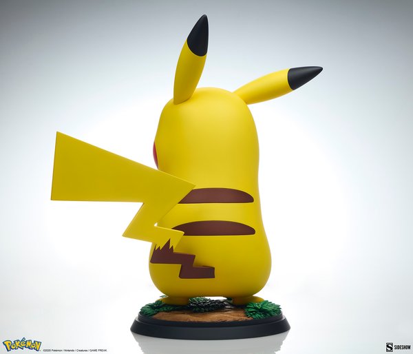 Pikachu-52607915-26a8-4b41-bc15-a764644dd93e 11