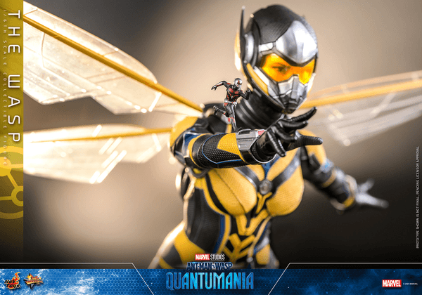 The Wasp 6