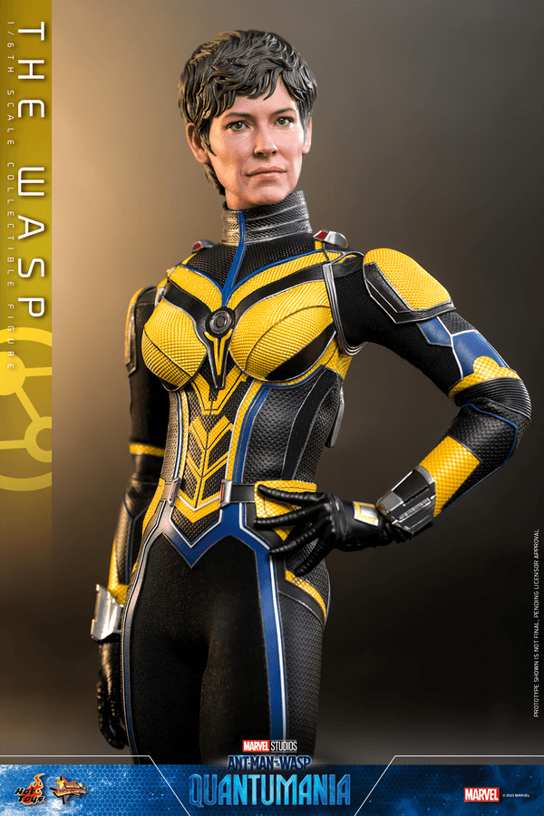 The Wasp 17