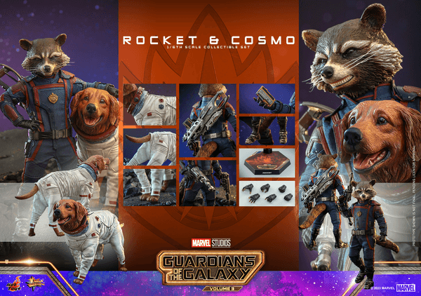 Rocket and Cosmo 14