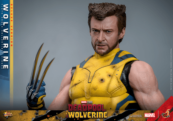 Wolverine - Deluxe 17