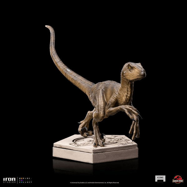 Velociraptor B 6
