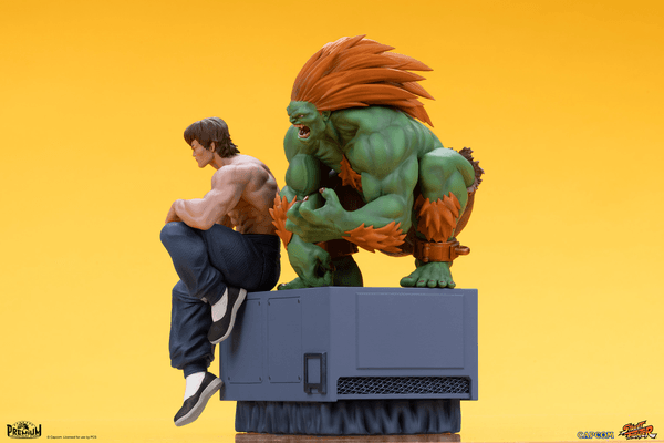 Blanka & Fei Long 11