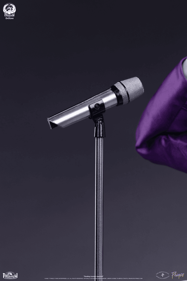 Prince (Deluxe Version) 16