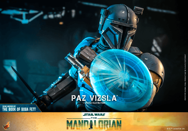 Paz Vizsla 14
