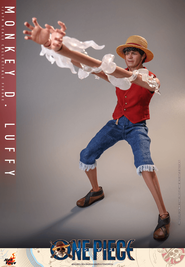 Monkey D. Luffy 8