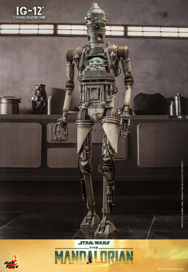 IG-12 6
