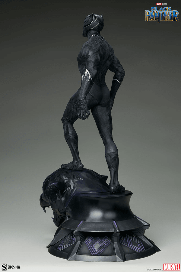 Pantera Negra-677e94f4-5beb-4c68-a56e-c3469d40962b 4