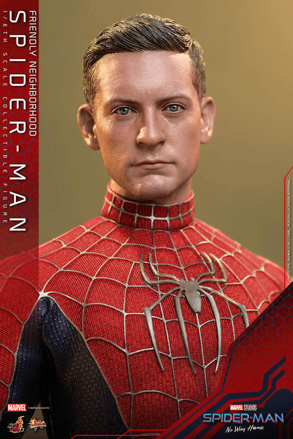 Friendly Neighborhood Spider-Man 6