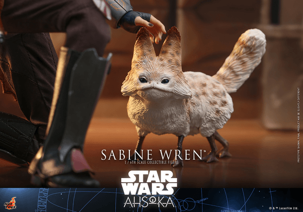Sabine Wren 6