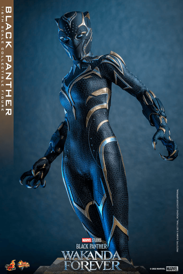 Black Panther -44689760-86da-4034-9b99-43436683472b 10