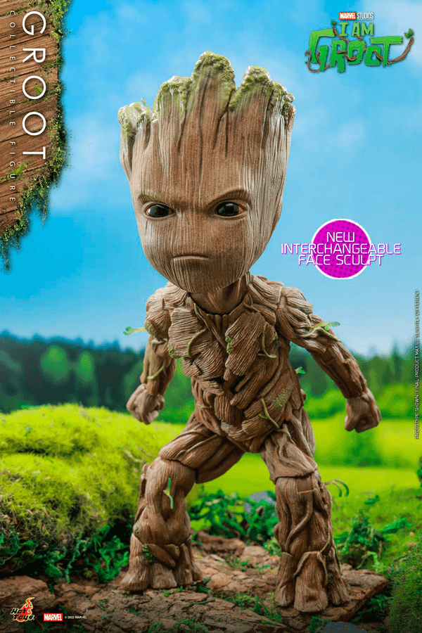 Groot-6e4892a1-8d49-489e-956b-c2b6ad8d64f0 4