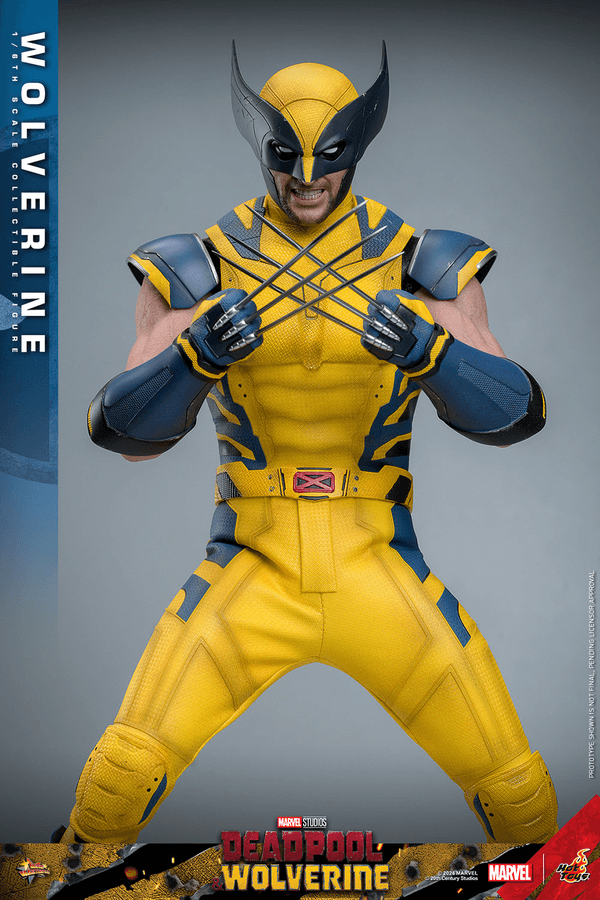 Wolverine-fe4d8bd6-33fd-41ed-a584-a4bba8e16985 4