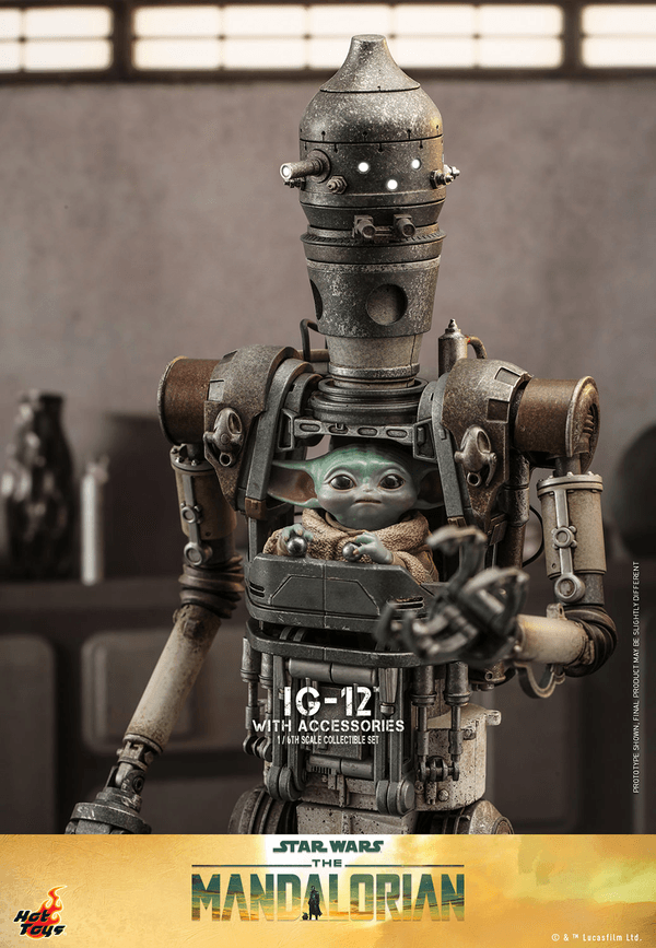 IG-12 With Accessories 9