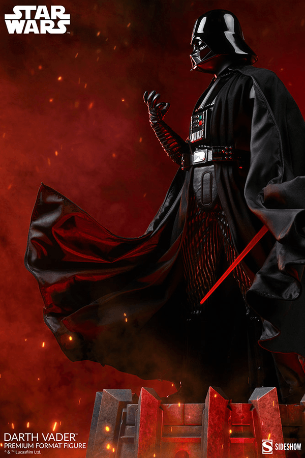 Darth Vader-a528a347-387f-489f-a94c-956bd87da3cd 15