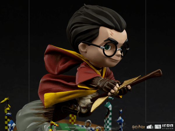 Harry Potter en el partido de Quidditch MiniCo 4