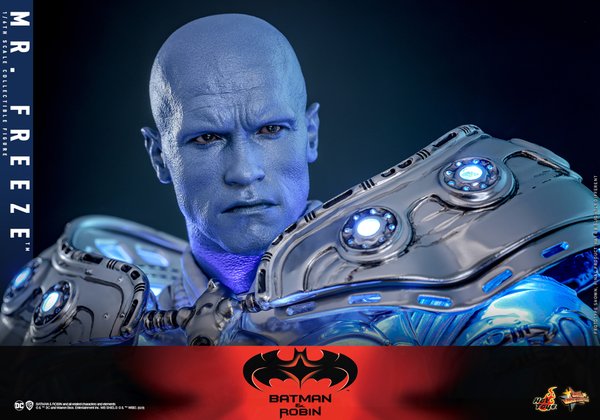 Mr. Freeze-195f065e-3f9e-4462-9c98-219b0a9ca6ce 8