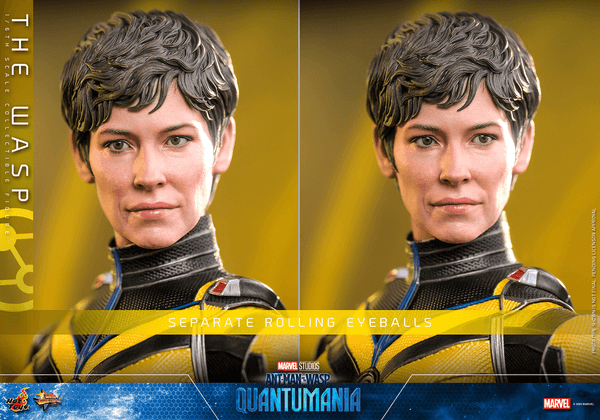 The Wasp 11