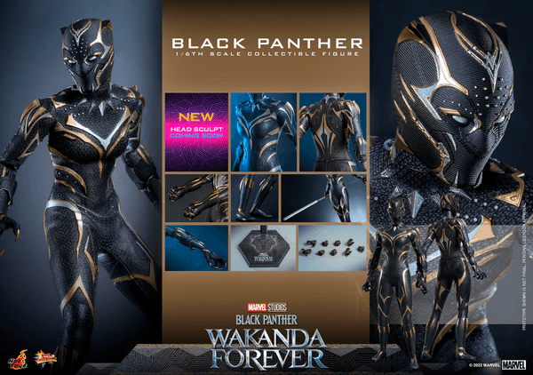 Black Panther -44689760-86da-4034-9b99-43436683472b 19