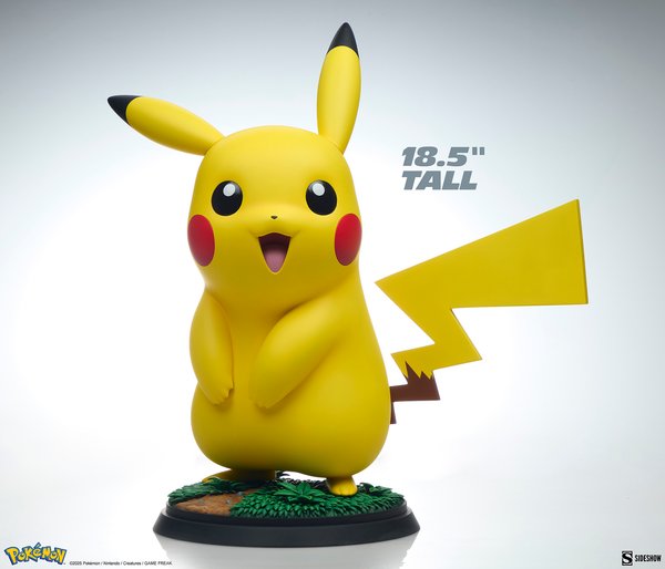 Pikachu-52607915-26a8-4b41-bc15-a764644dd93e 8