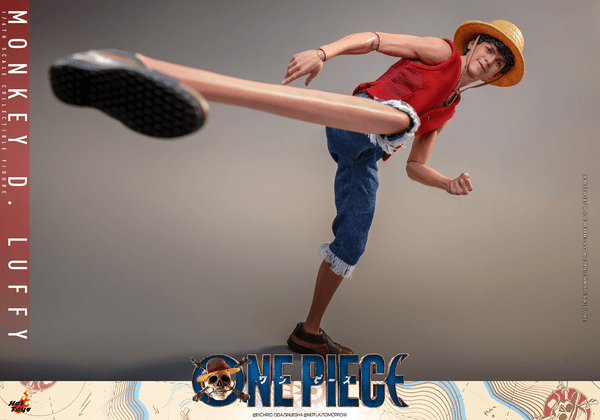 Monkey D. Luffy 5