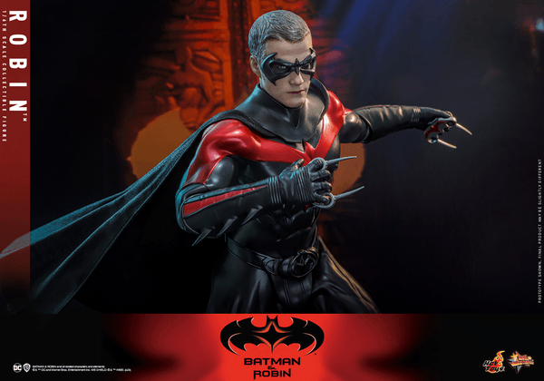 Robin 3