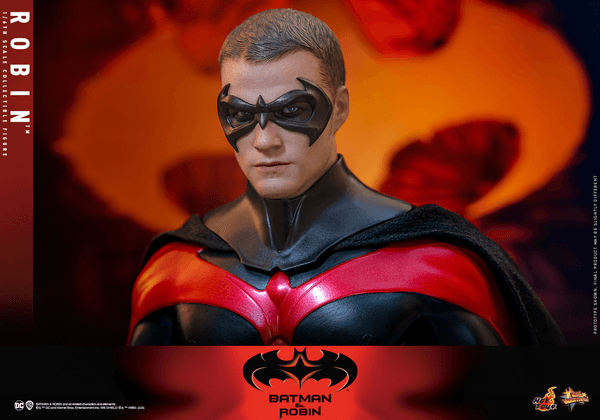 Robin 4