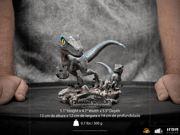 Blue y Beta MiniCo 8