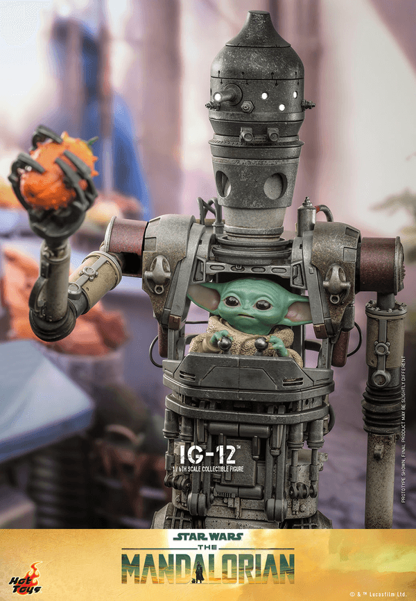 IG-12 5