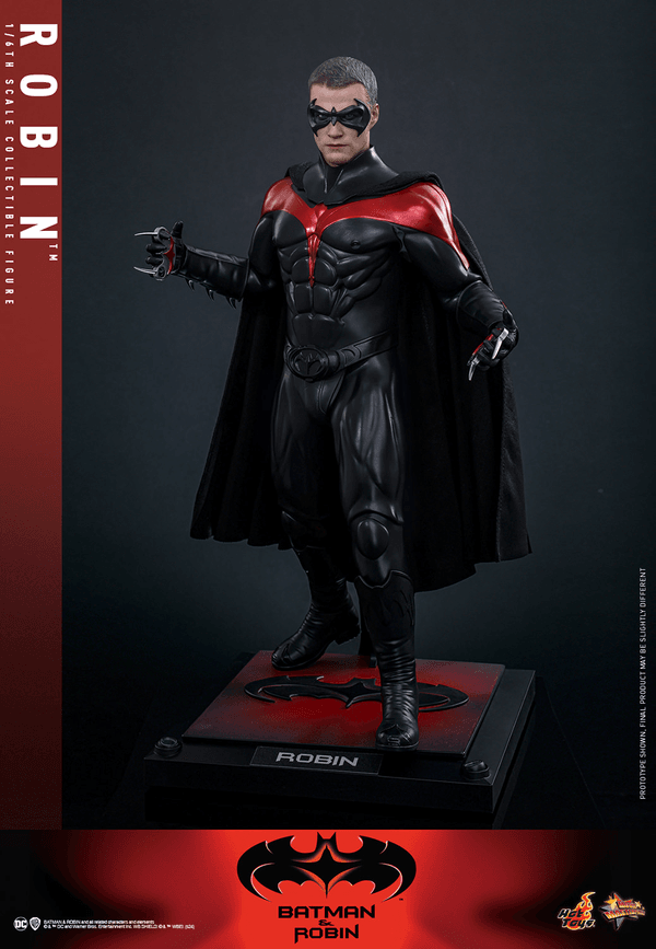 Robin 5