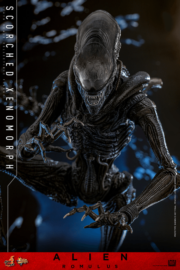 Scorched Xenomorph - Alien 15
