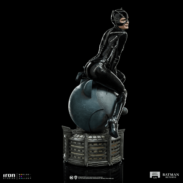 Catwoman-0edd5777-f55a-419c-886d-0f6d5bb885bc 4