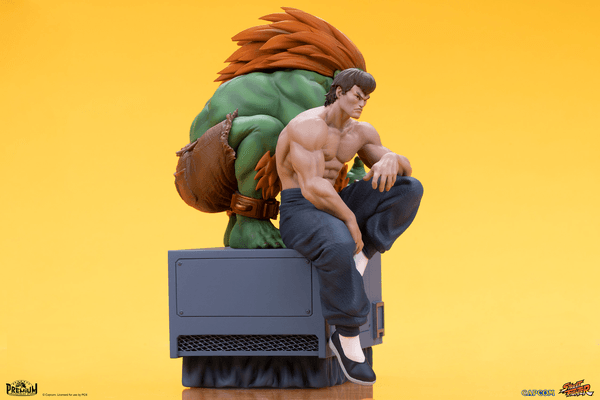 Blanka & Fei Long 16
