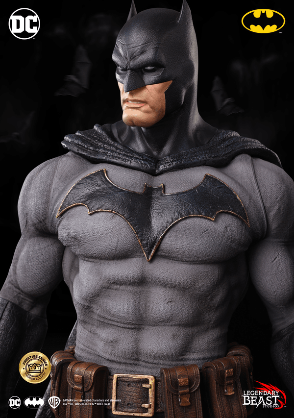 Batman -f8f771c9-0c9d-4566-ab5f-983168b15a7b 10