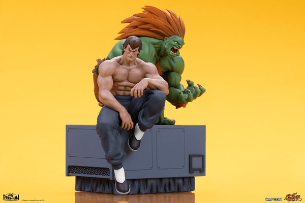 Blanka & Fei Long 12