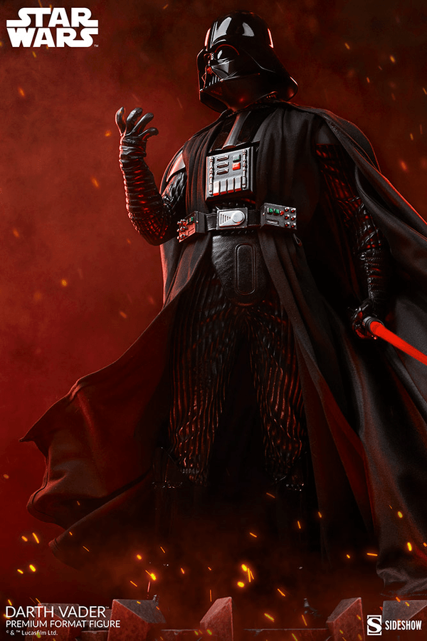 Darth Vader-a528a347-387f-489f-a94c-956bd87da3cd 14
