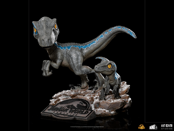 Blue y Beta MiniCo 6