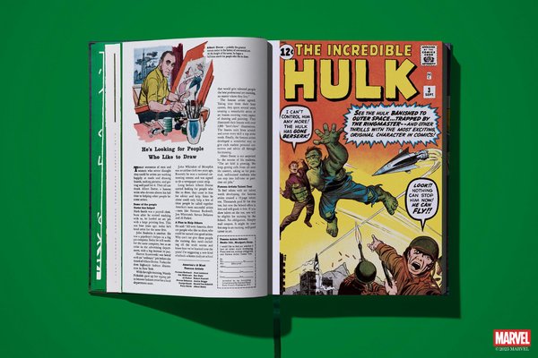 Marvel Comics Library. Hulk. 1962–1966 (Standard Edition)-f46e1b70-6b12-4062-b62b-904916da523d 14