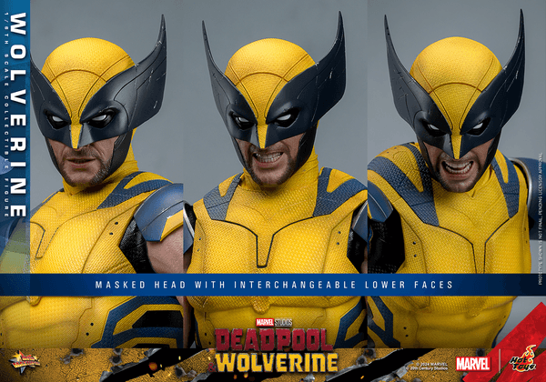Wolverine-fe4d8bd6-33fd-41ed-a584-a4bba8e16985 11