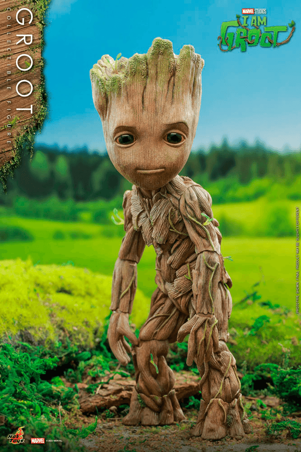 Groot-6e4892a1-8d49-489e-956b-c2b6ad8d64f0 5