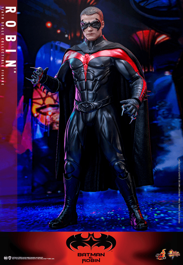 Robin 8