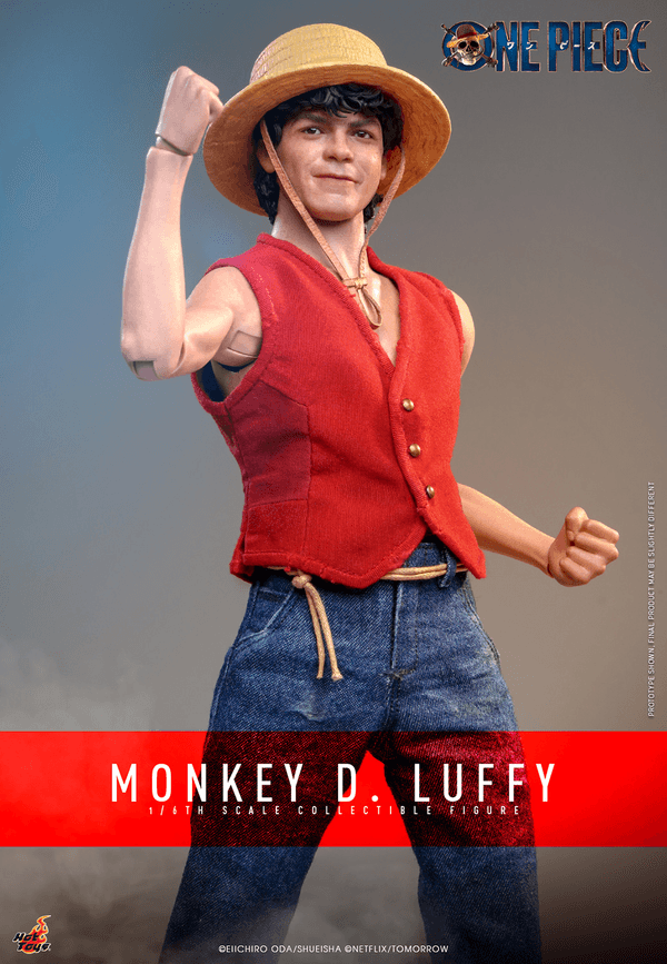 Monkey D. Luffy 1
