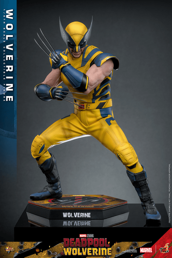 Wolverine-fe4d8bd6-33fd-41ed-a584-a4bba8e16985 5