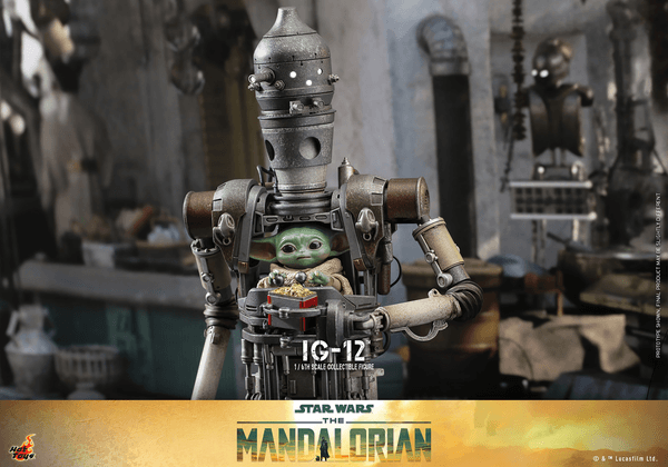 IG-12 9