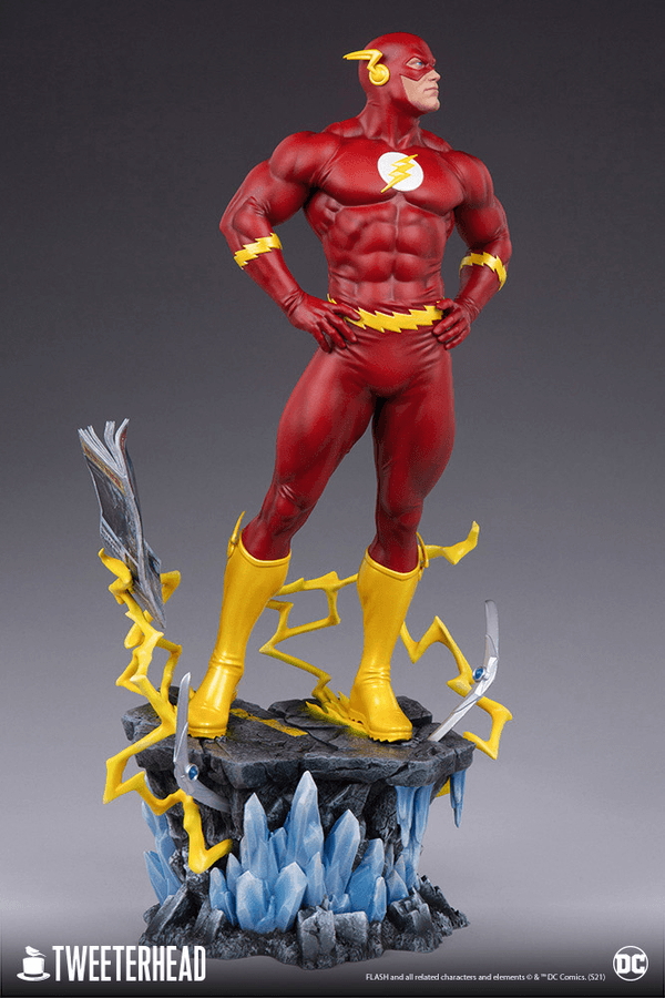 Flash 12
