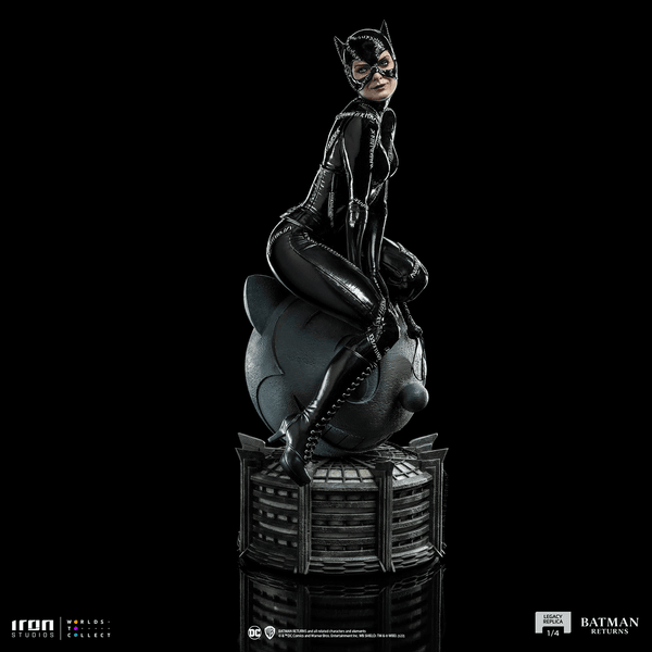 Catwoman-0edd5777-f55a-419c-886d-0f6d5bb885bc 14