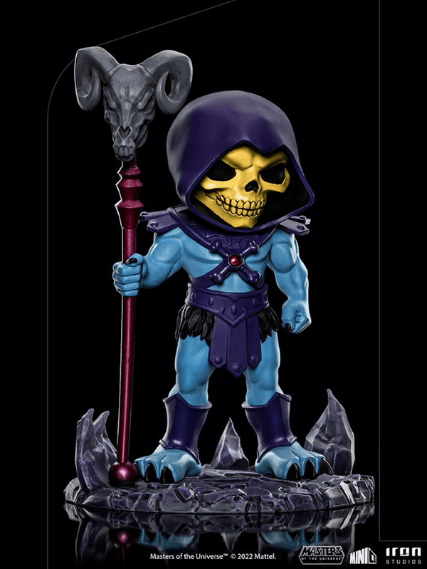 Skeletor Minico 5